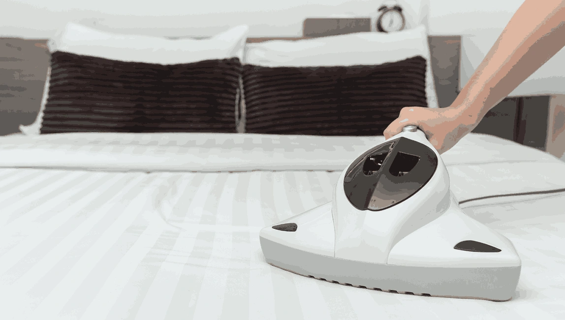 Professional Mattress Cleaning Gladysdale